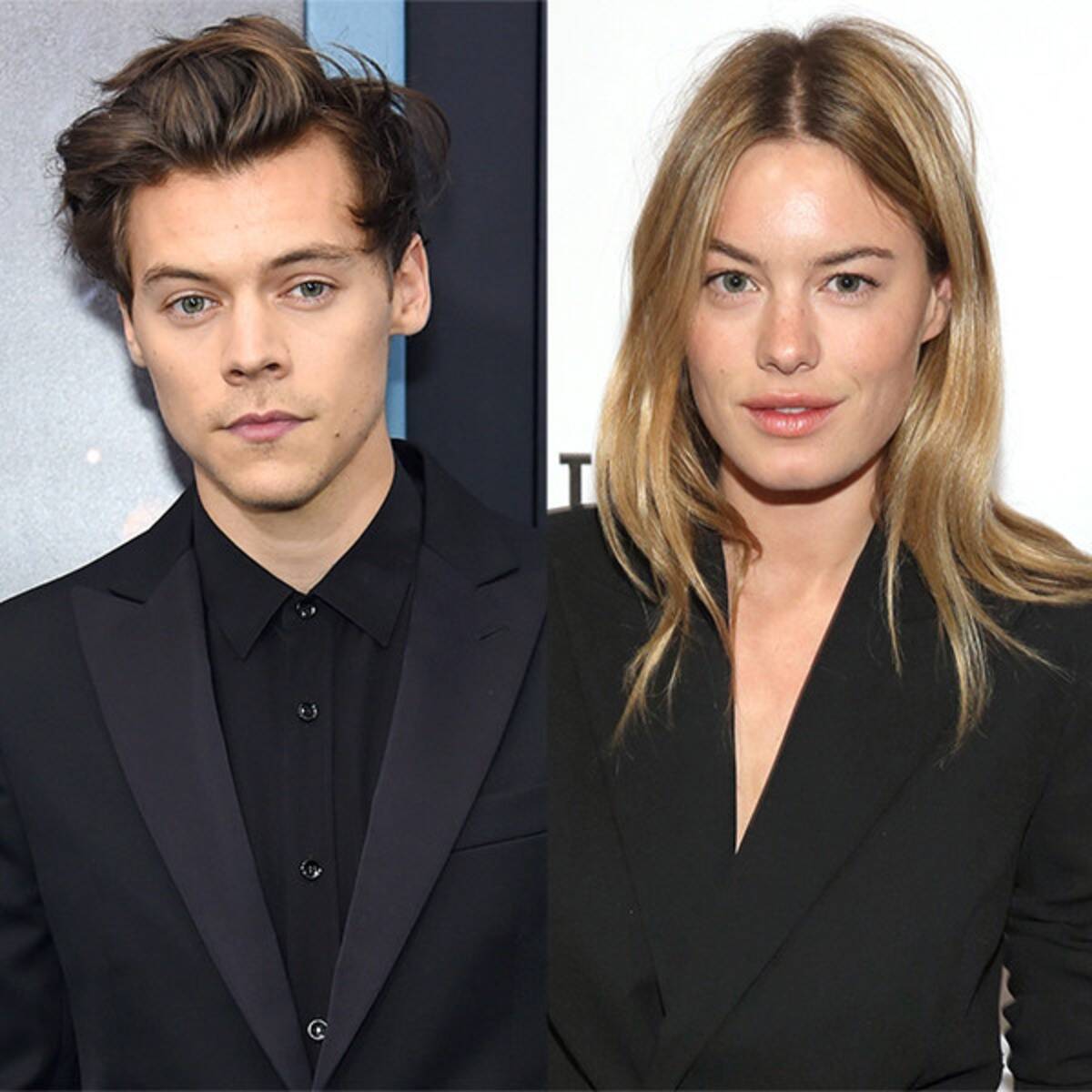 Camille Rowe and Harry Styles: Their Relationship Timeline