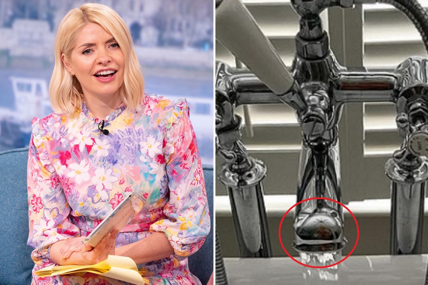 Holly Willoughby Bathroom: The presenter’s awkward Instagram moment.