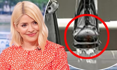 Holly Willoughby Bathroom: The TV star shows a bit too much on Instagram.