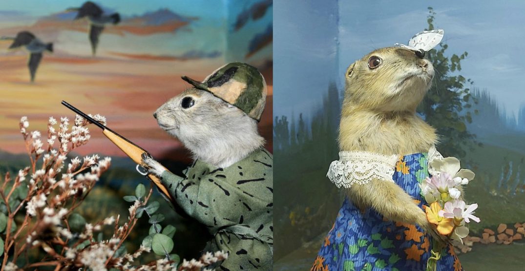 Gopher Museum