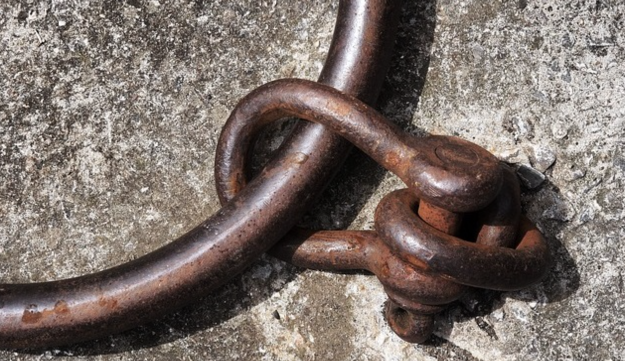 Chain and shackle